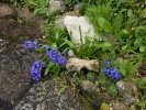 Rouffiac 08 03 2020