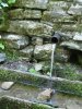la source de l'ermitage st Thomas
