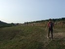 ND de l'Île août 2018