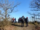 Albas 16 01 2020