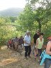 ND de l'Île août 2018