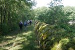 Mur en ogive