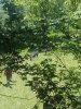 Labastide du V. 23 05 2019