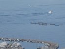 le port de pêche de Roses et l'élevage de bars et lottes