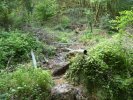 la source du calan, les dégats de la tempête