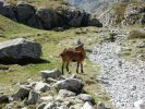 Cauterets sept 2018 jour 3