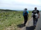 Montpeyroux 10 mai