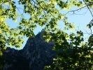 St Guilhem 11 mai