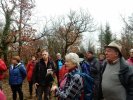 Circuit des dolmens fev 2018