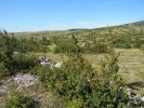 Lozère sept 2019, jour 2