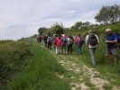 Montpeyroux 10 mai