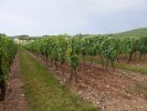 Château Nozieres juillet 2018