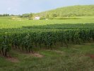 Château Nozieres juillet 2018