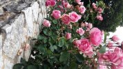 RS 27 05 2019