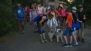 Nocturne des Chevaliers juillet 2018