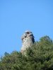 St Guilhem 11 mai