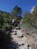 St Guilhem 11 mai