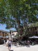 St Guilhem 11 mai